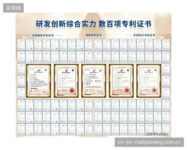 部分国外品牌利用双级减震垫的专利壁垒，是否正在变相阻碍国内体育地材市场的健康竞争与技术迭代？